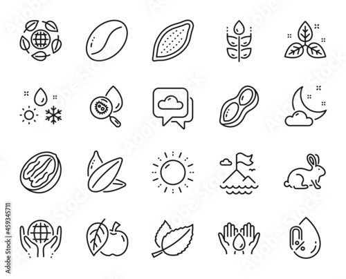 Vector set of Fair trade, Mountain flag and Coffee beans line icons set. Weather, Peanut and No alcohol icons. Organic tested, Gluten free and Cocoa nut signs. Fair trade web symbol. Vector
