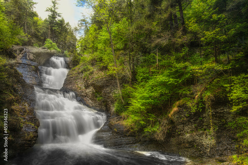 Long Exposure Waterfall and Forest Vertical