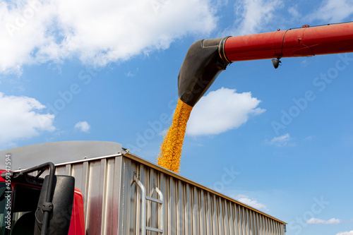 Canvas Print Combine harvester loading corn kernels into grain truck during harvest season