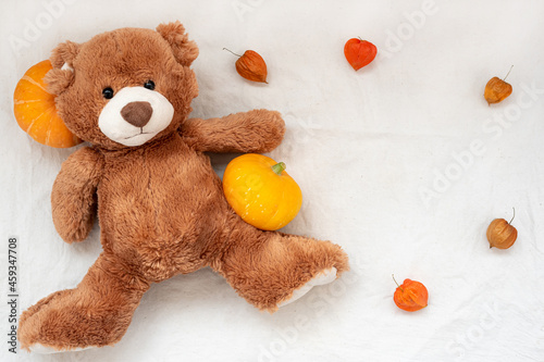Quadro su tela Brown soft toy teddy bear with pumpkin and Physalis frame on white sackcloth fab