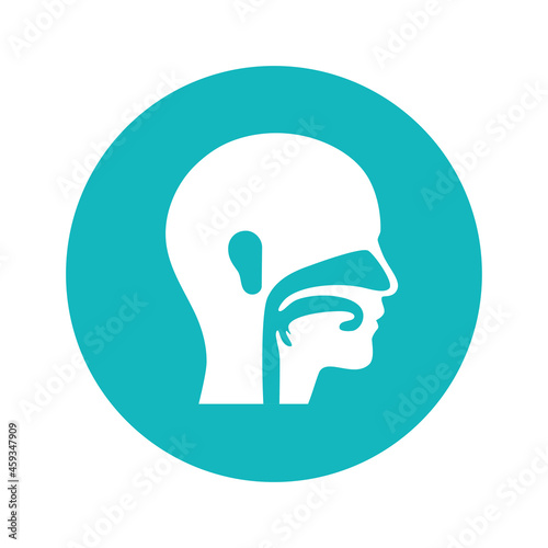 Otolaryngology clinic concept