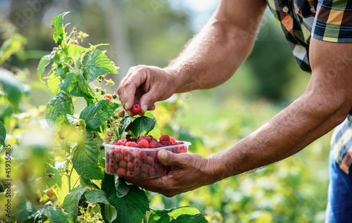 Tableau sur toile Gardening