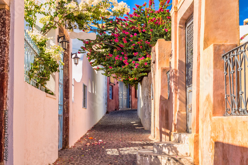 Famous Oia village narrow street with white houses and bougainvillea flowers. Santorini island, Greece