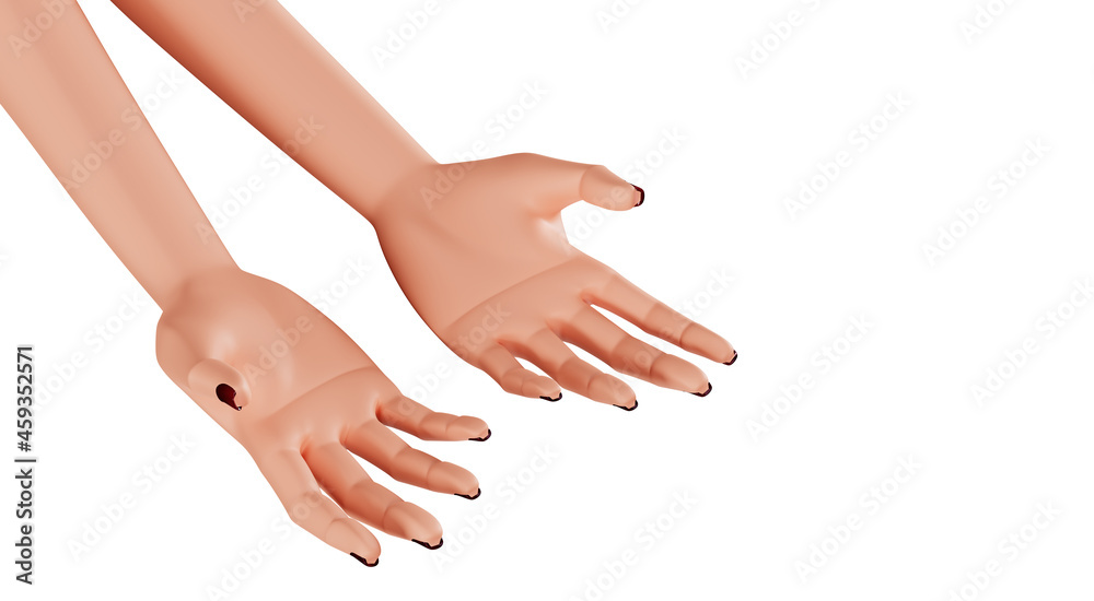 Beautiful female palms, close-up. Hands with manicure, 3d render. Realistic hands of a young woman isolated on a white background. Hand skin care spa care.