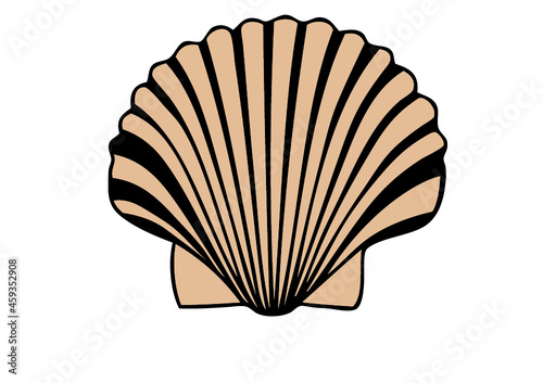 coquille saint-jacques