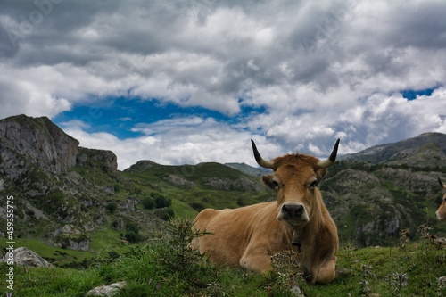 lagos de Covadonga, asturias. spain