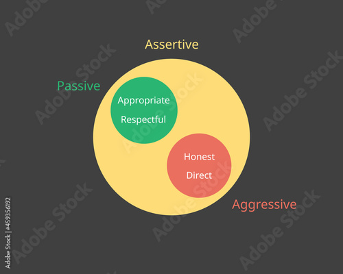 the assertiveness which is combines of aggressive and passive