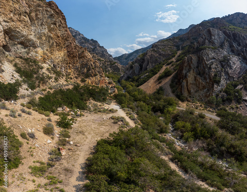 Morning in the Canyon