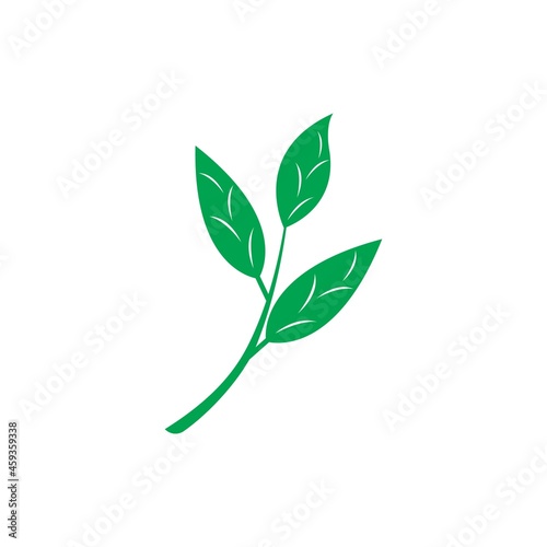 Fototapeta Naklejka Na Ścianę i Meble -  Green leaf logo