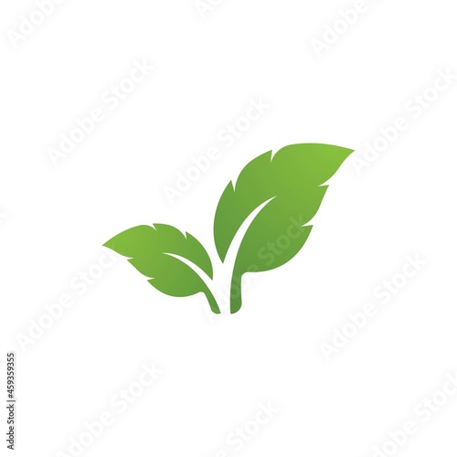 Green leaf logo © mhasanudin