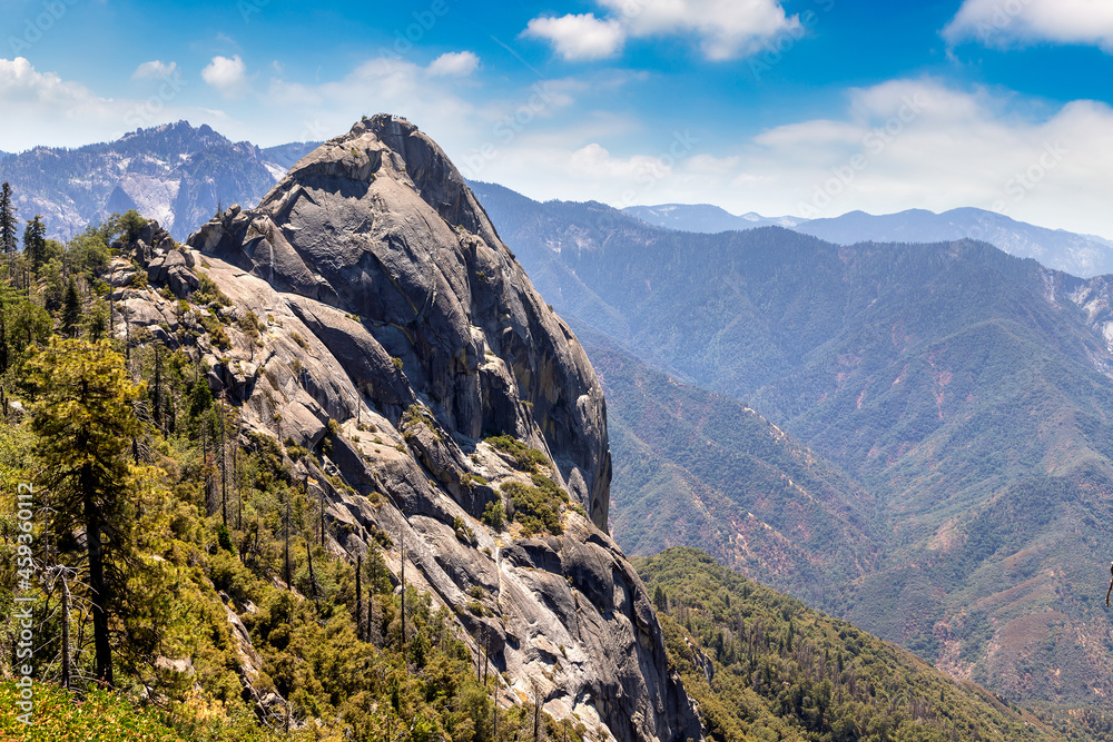 Sequoia National Park in California