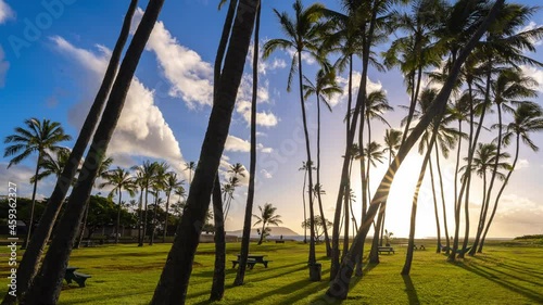 Amazing sunrise shining through the palms of Waialae Beach Park. photo