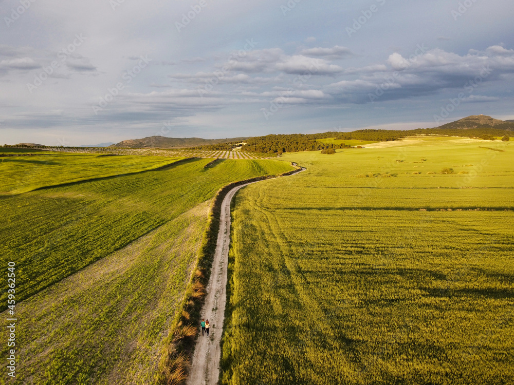 aerial landscape of wheat fields