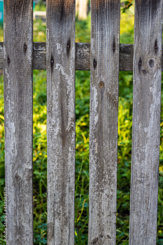 Wooden gray fence with vertical boards and greenery behind it in the background. Background and texture of a homemade fence. High quality photo