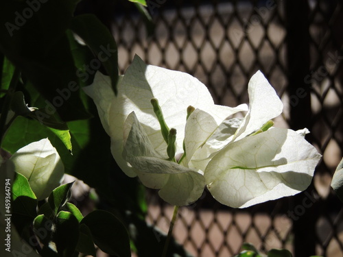 The beauty of the world is found in nature