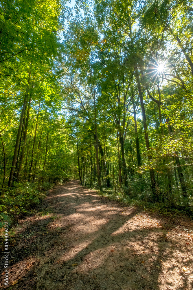 Evergreen Nature Preserve in Charlotte, North Carolina
Evergreen Nature Preserve in Charlotte, North Carolina