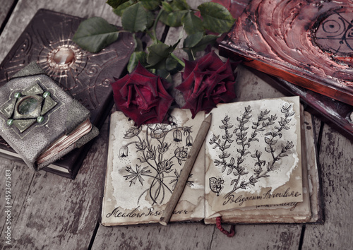 Still life with botanical drawings on shappy pages, decorated book and roses on planks. photo