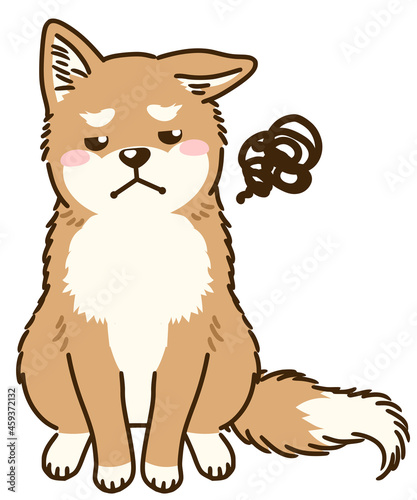 目を逸らす柴犬