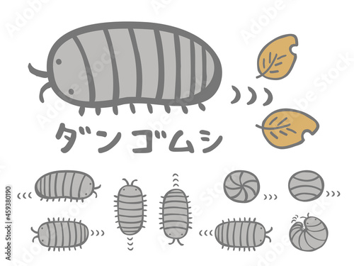 かわいいダンゴムシ／手書きイラスト