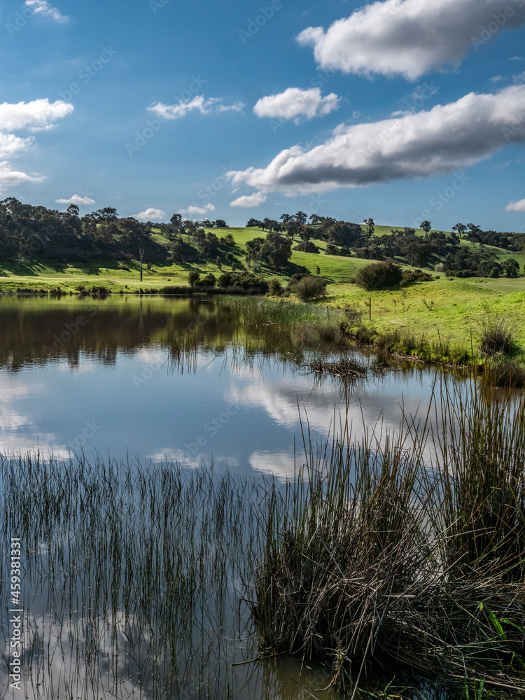 Yarra Lagoon vert