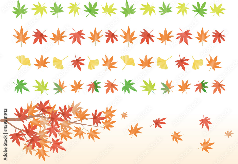 A set of Japanese maple leaf border material and branches. A set of Japanese maple leaf border material and branches.