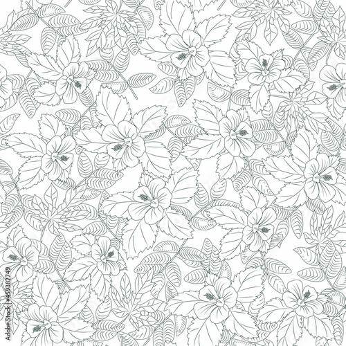 Hibiscus, flowers and leaves, outline on white background, seamless pattern © Svetlana