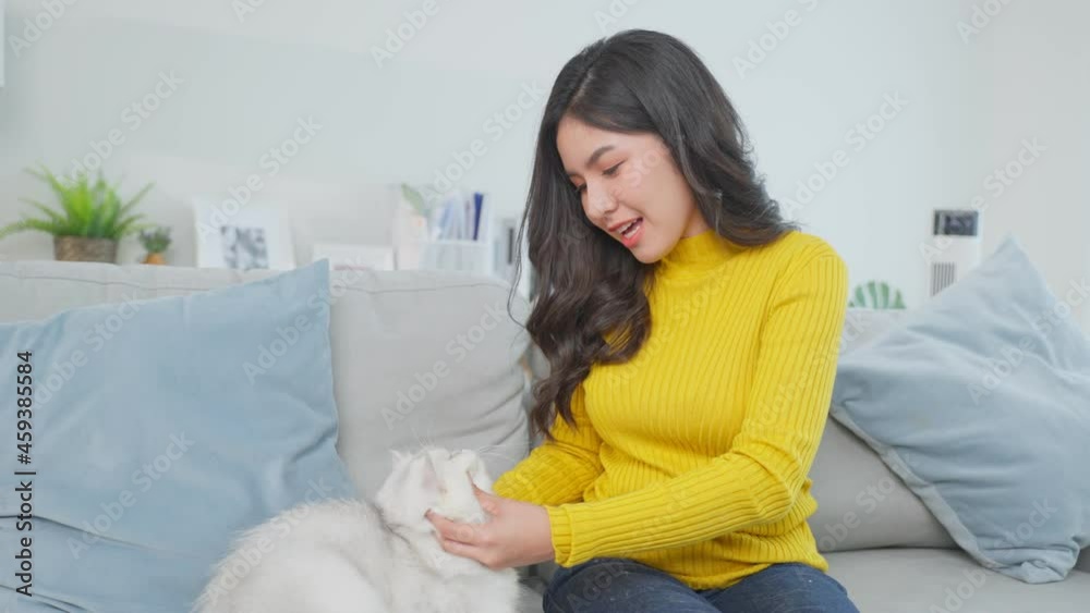Asian woman holding and play with little cat with happiness at home. Asian woman holding and play with little cat with happiness at home.