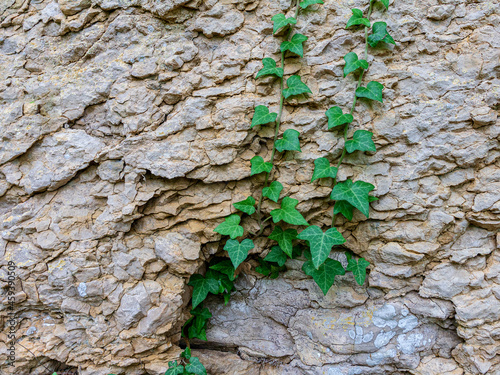 Natural stone, background used for design works, close-up, upper angle. photo