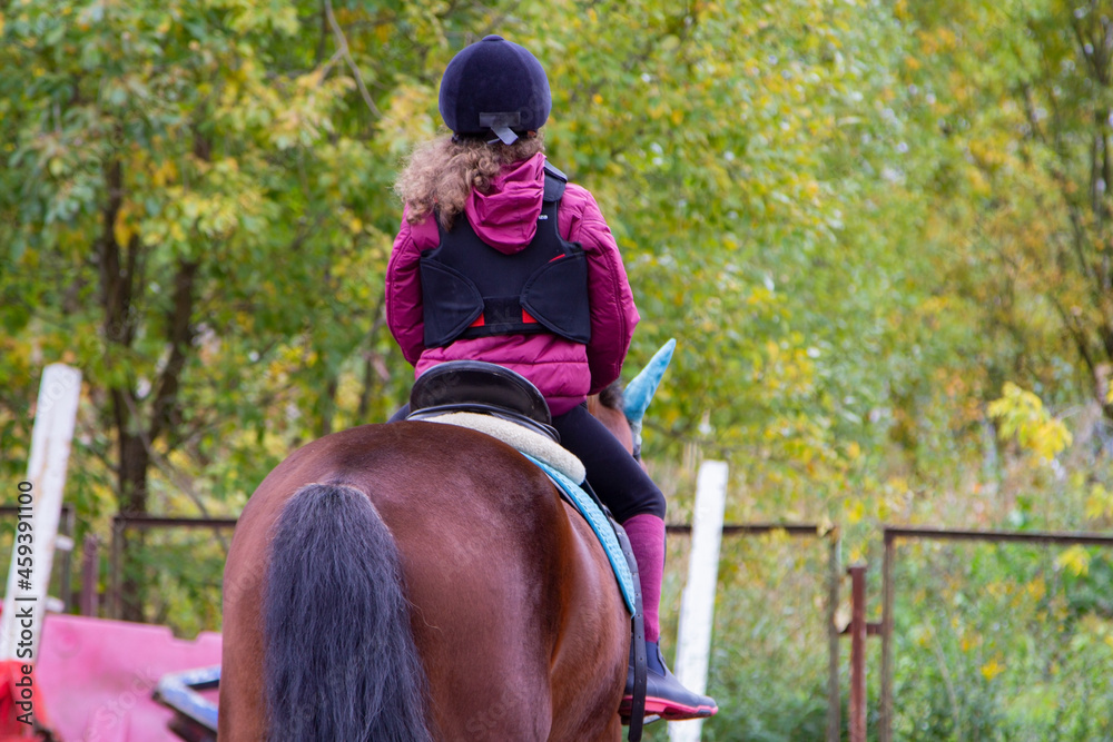 Girl wears special equipment rides a brown horse. Hippotherapy for
