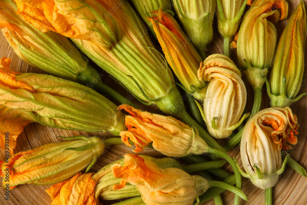 Flowers of zucchini in plate, closeup