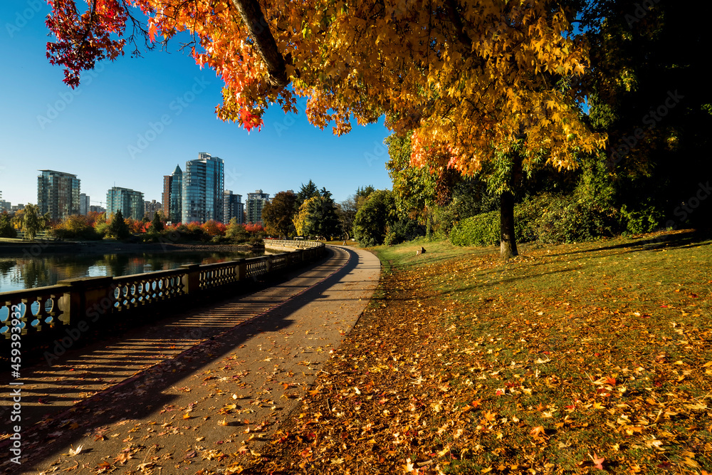 Fototapeta premium Stanley Park in Autumn - Vancouver, BC Canada travel and tourism