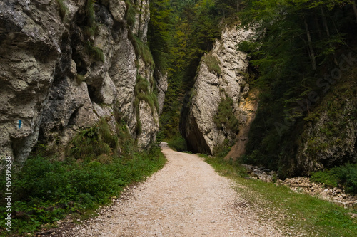 A Narrow Road Leading through a Spectacular Canyon from Romania