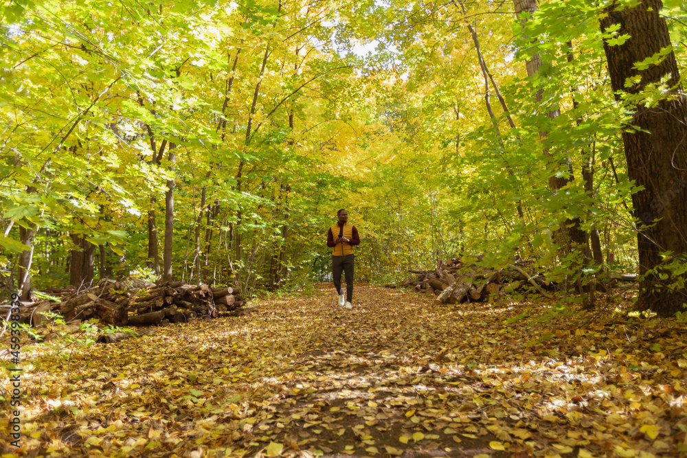 Male student walking in the park in autumn season Male student walking in the park in autumn season