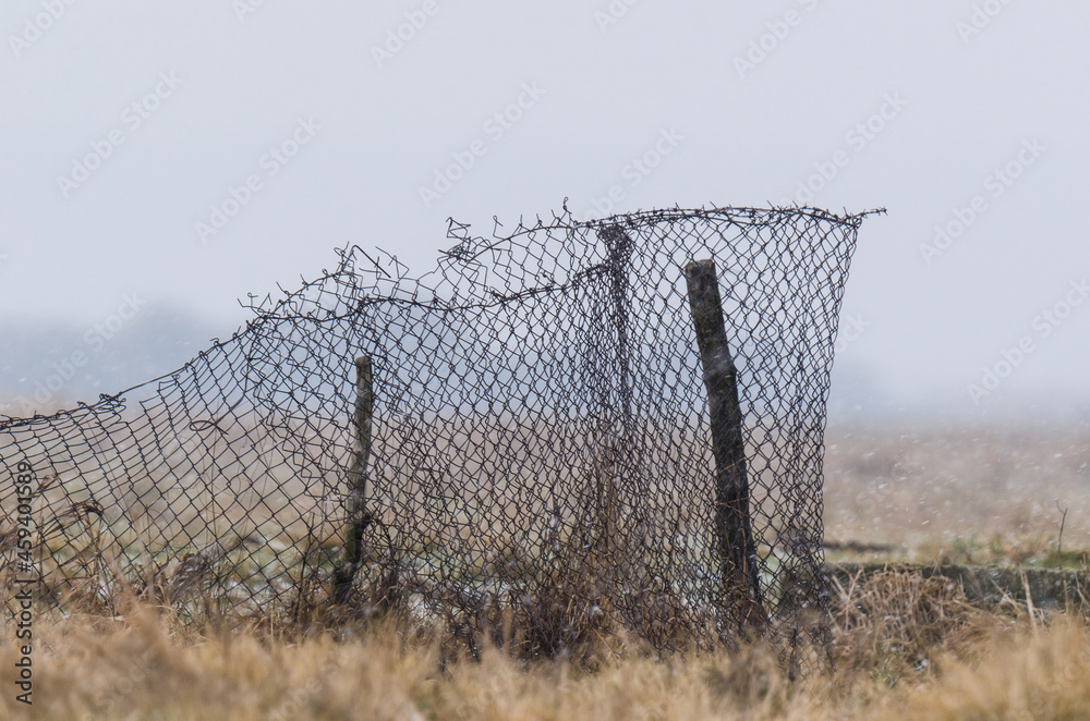 SNOWSTORM - Old fence mesh in the pasturage in a winter landscape SNOWSTORM - Old fence mesh in the pasturage in a winter landscape