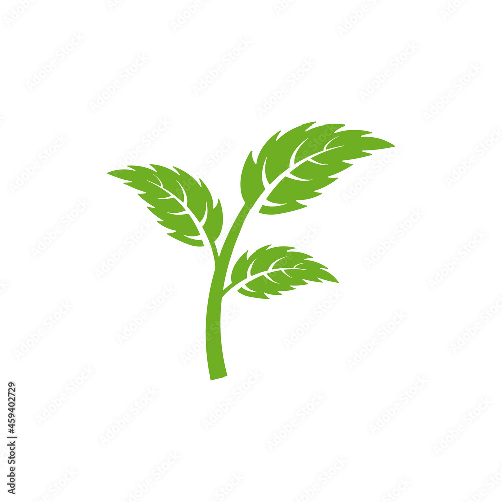 leaf logo icon design template vector