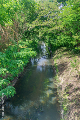 Ultrata river in city center of Pruszkow, Poland.