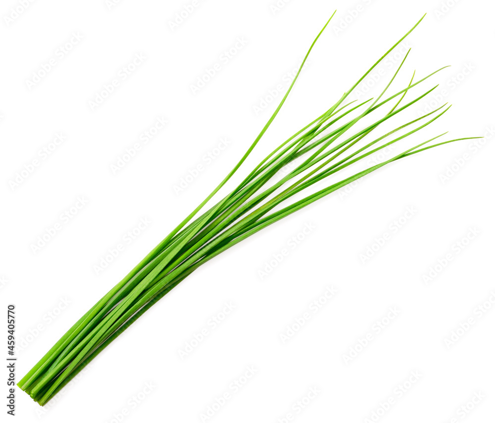 fresh chives isolated on white background, top view fresh chives isolated on white background, top view
