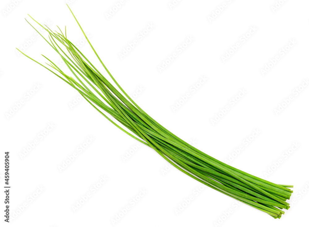 fresh chives isolated on white background, top view fresh chives isolated on white background, top view