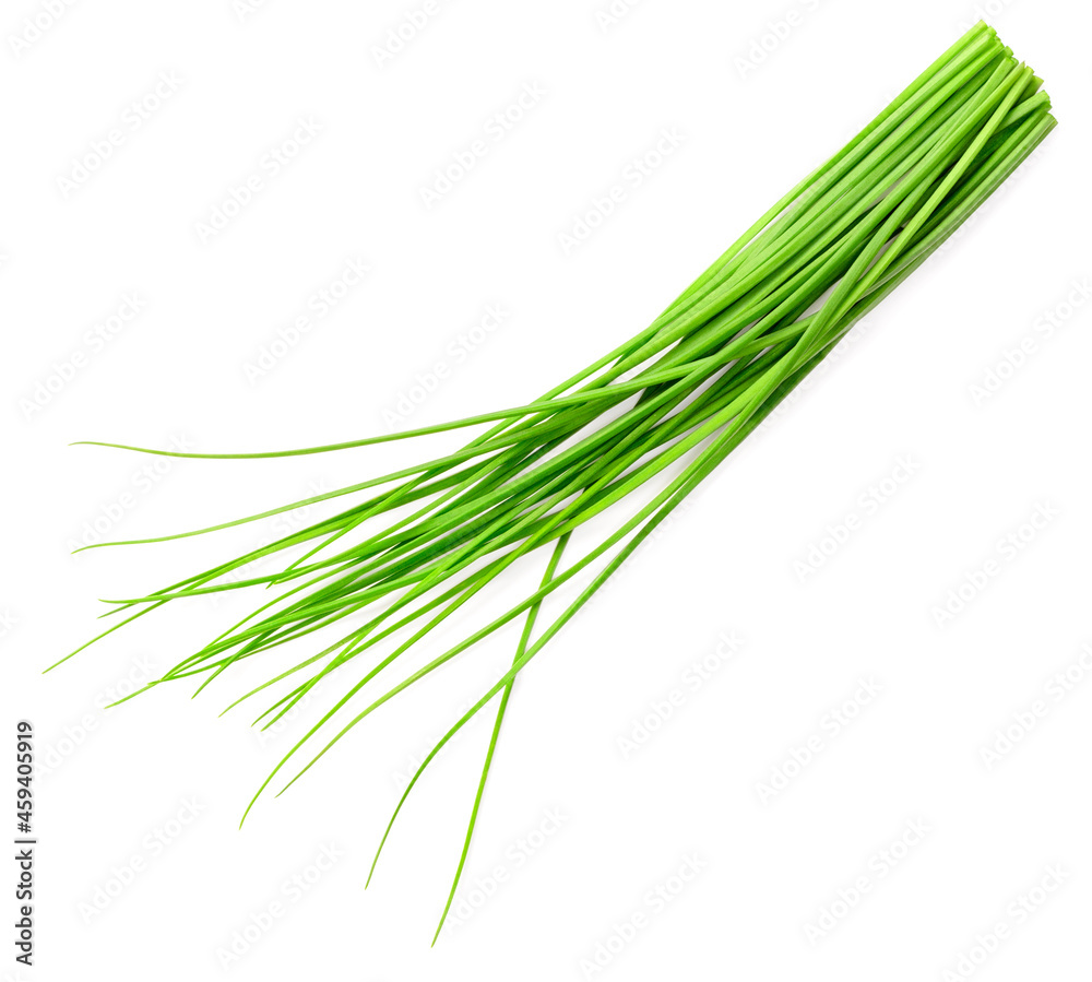 fresh chives isolated on white background, top view fresh chives isolated on white background, top view
