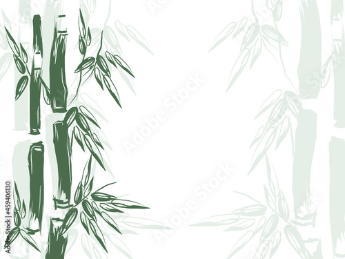Hand drawn vector illustration with bamboo.