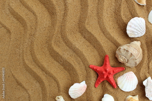 Star, shells, sand, sea, souvenir, texture, tourism, background, beach, close-upshore, collection, shell, decoration, design, holiday, marine, shellfish, nature, marine, ocean, outdoor, paradise, patt