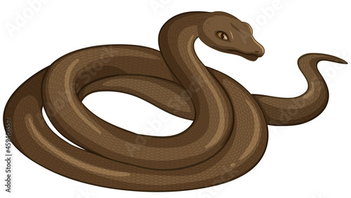 Snake animal on white background