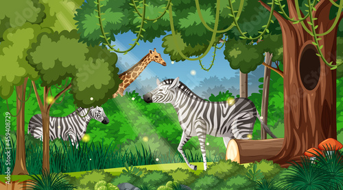 Photography Wild animals in forest landscape background