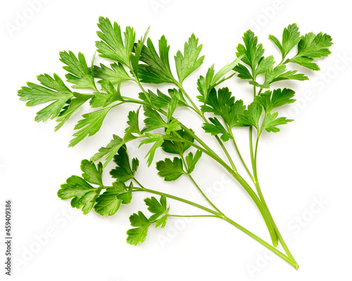 fresh flat-leaf parsley herb isolated on white background, top view