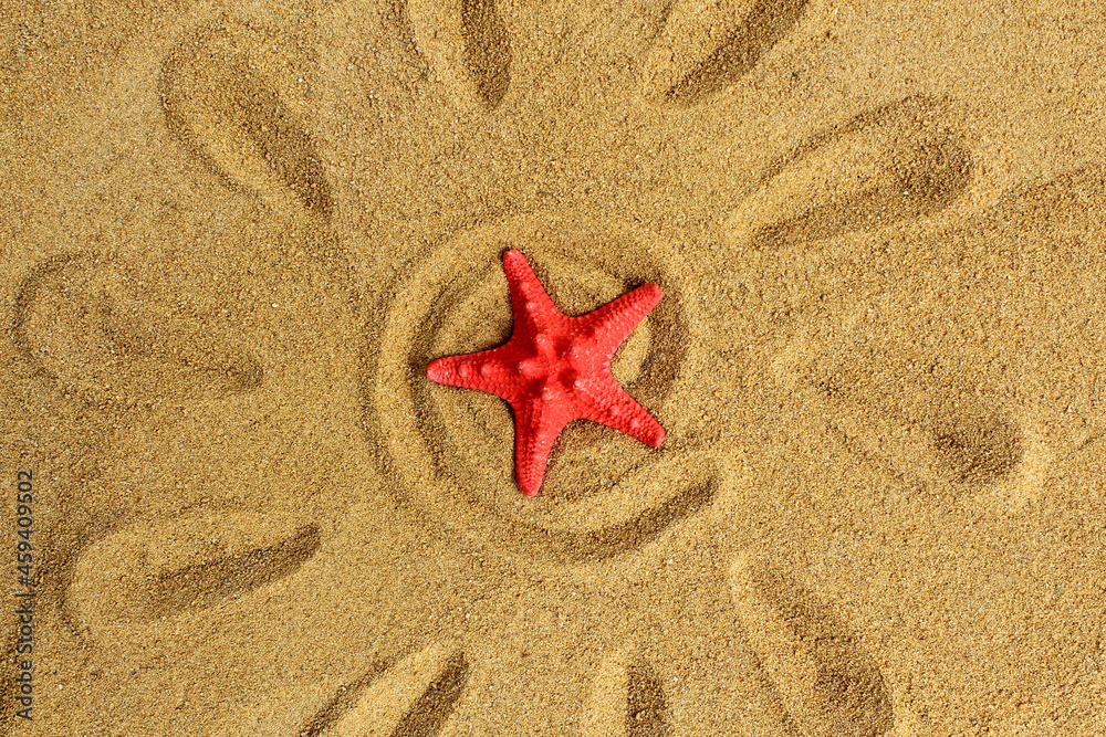 Travel theme. Seashells lie on the sand with space for text. Travel theme. Seashells lie on the sand with space for text.
