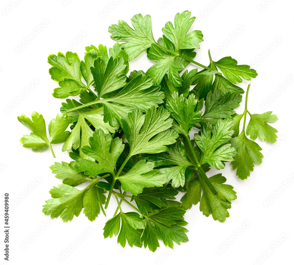 pile of fresh flat parsley leaves isolated on white background, top view pile of fresh flat parsley leaves isolated on white background, top view