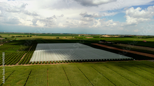 Aerial view of orchard covered by protective mesh photo