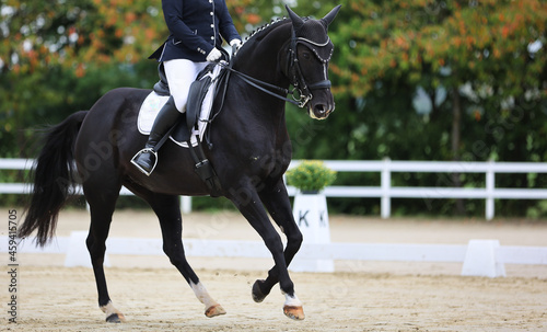 Dressage horse with rider in the dressage arena at a strong canter..