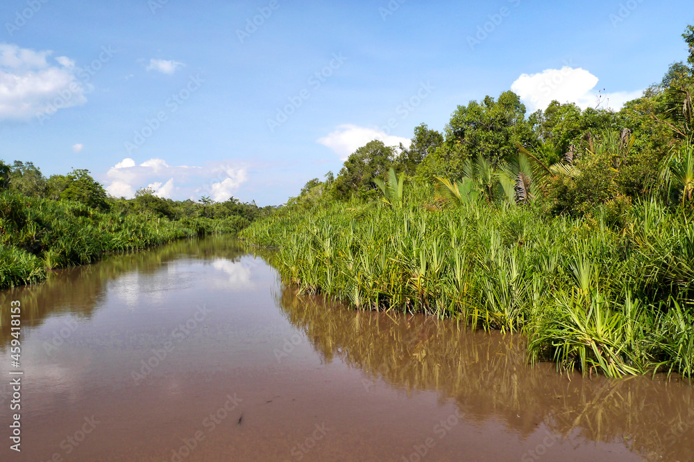 Fototapeta premium Sekonyer River, Tanjung Puting National Park, Kalimantan, Borneo, Indonesia