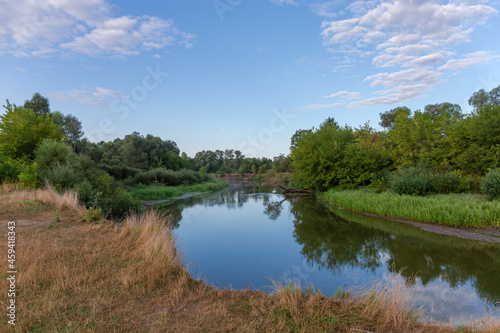 Plain river with shores overgrown with trees and grass